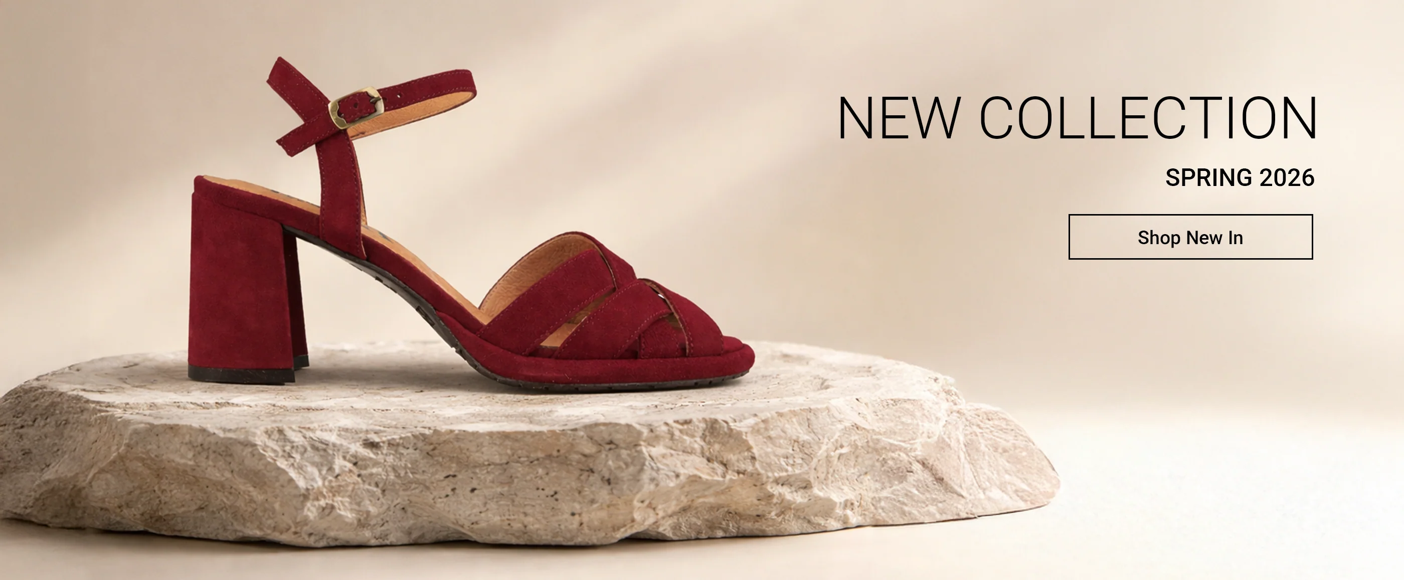 Step Into a Brighter World
